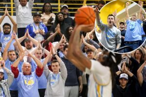 Meet the ‘Fins Up’ guys who put LIU hoops fans on the map — despite not even going to the school Meet the ‘Fins Up’ guys who put LIU hoops fans on the map — despite not even going to the school