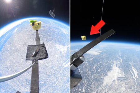Space cadet: Stuffed animal dropped from Earth’s stratosphere