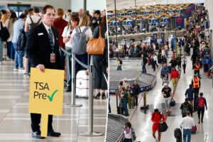 Major airlines are letting some passengers who missed flights amid TSA madness rebook for free Major airlines are letting some passengers who missed flights amid TSA madness rebook for free