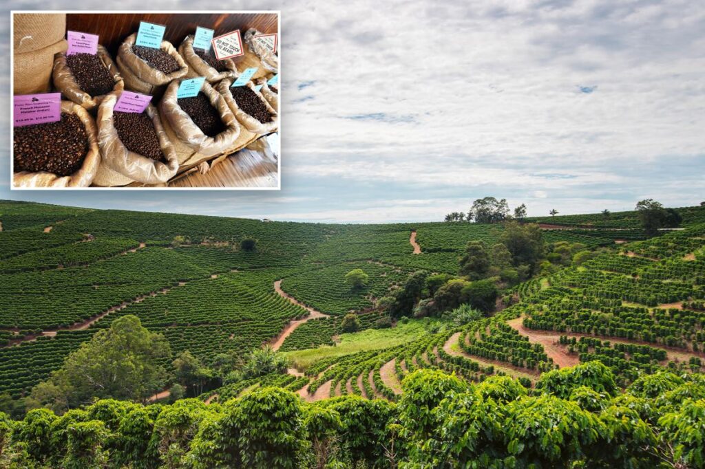 The price of coffee is skyrocketing faster than all other groceries — and the reason goes way beyond tariffs