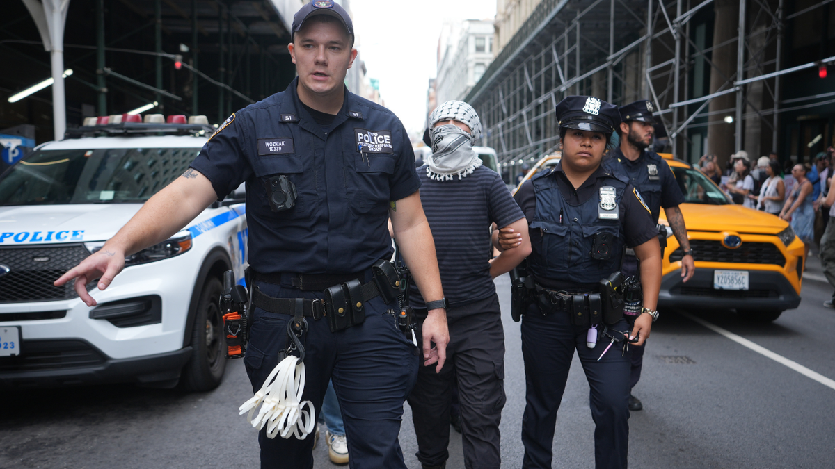 Police arrest protester.