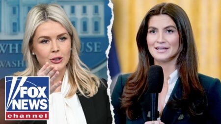 Leavitt CALLS OUT CNN for wanting to make Trump ‘look bad’