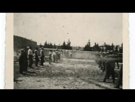 Greece unveils WWII photo archive documenting Nazi executions of prisoners in Athens