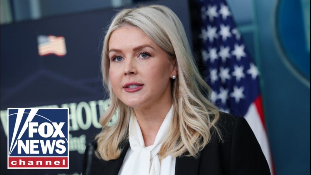 ‘Combat ineffective’: Leavitt says Iranian Navy is ‘COMPLETELY WIPED OUT’