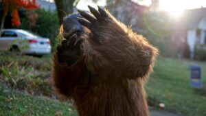 Six reported Bigfoot sightings in northeast Ohio within four days spark cryptid ‘flap’ speculation