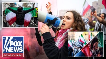 PAID TO PROTEST?: Alleged funding behind pro-Iran rallies revealed
