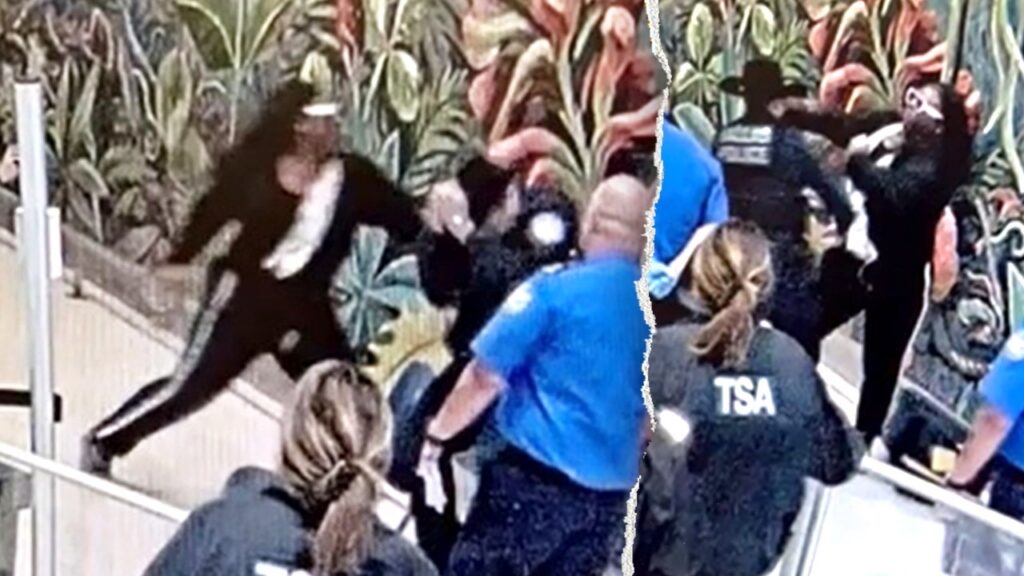 Man accused of attacking TSA officers, seriously injuring Dallas cop at airport Man accused of attacking TSA officers, seriously injuring Dallas cop at airport
