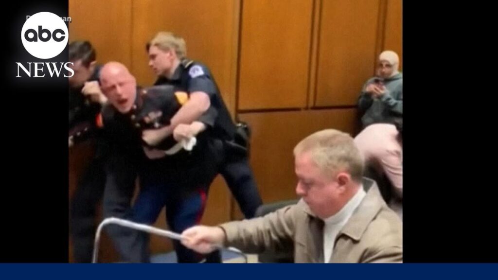 Senator helps remove protester during Senate hearing