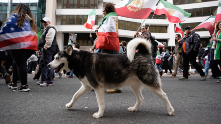 With dogs, dance and uncovered hair, Iranians defy ‘unholy alliance’ of socialists, radicals: ‘Hypocrites!’