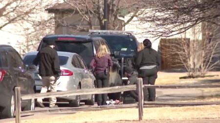 11-year-old accused of premeditated murder in brother’s death can’t be tried as adult, former DA says