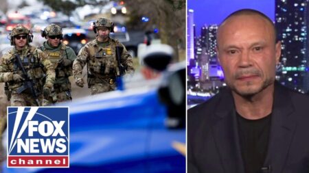 Bongino gives warning on escalating threat of domestic terrorism Bongino gives warning on escalating threat of domestic terrorism