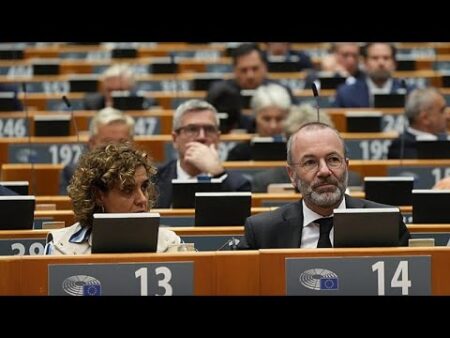 EU Parliament firewall breached? EPP reportedly worked closely with AfD