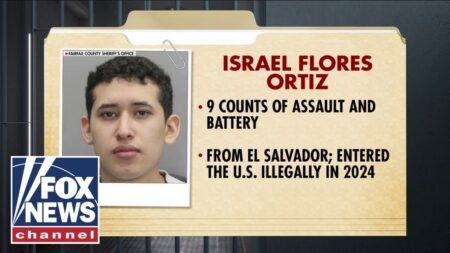 Illegal immigrant CHARGED after allegedly groping classmates Illegal immigrant CHARGED after allegedly groping classmates