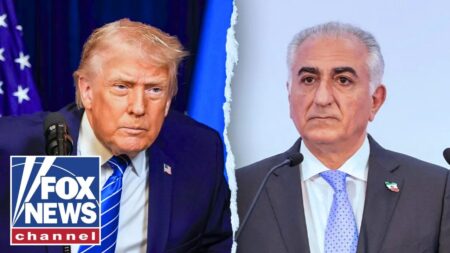 ‘DECAPITATING the regime’: Advisor to exiled Iranian prince on US strikes ‘DECAPITATING the regime’: Advisor to exiled Iranian prince on US strikes