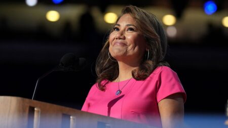 Dem rep’s staffer repeatedly posed as lawyer for detainees, smuggled phone into Texas facility, ICE says