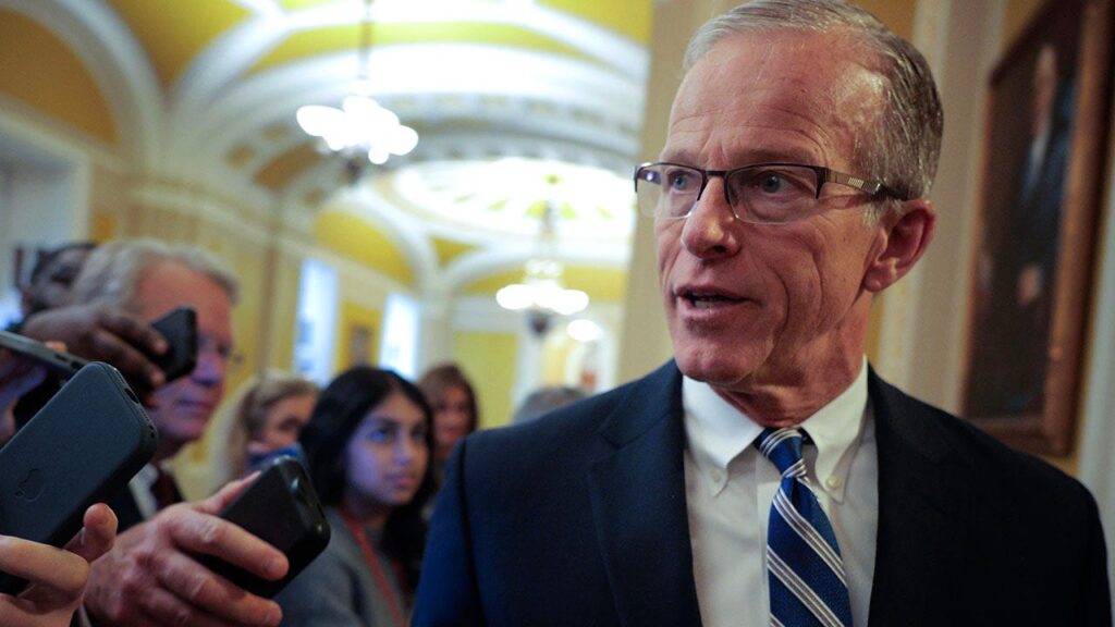 Thune reveals reason Democrats are ‘scared’ to reopen DHS Thune reveals reason Democrats are ‘scared’ to reopen DHS