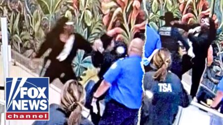 ‘WE DON’T DESERVE THIS’: TSA leader URGES end to DHS shutdown ‘WE DON’T DESERVE THIS’: TSA leader URGES end to DHS shutdown