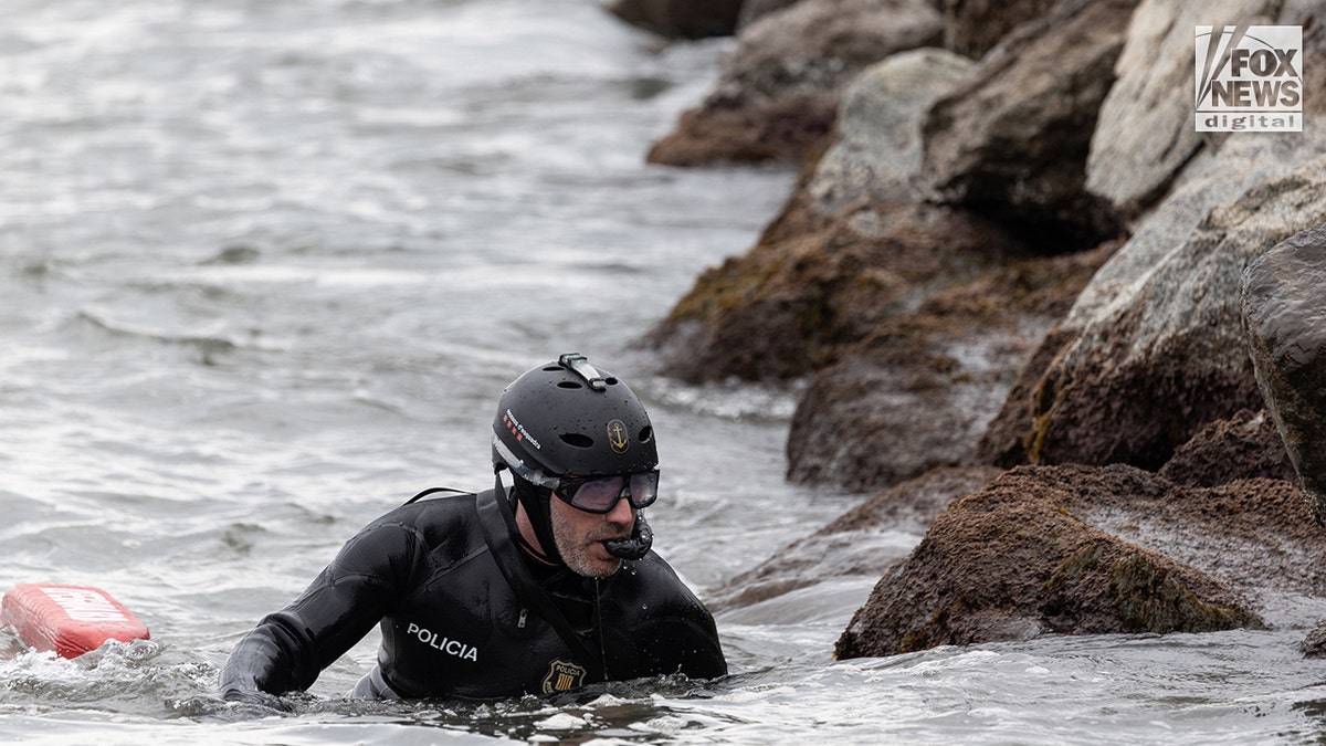 A Catalan police diver searching for Alabama student James Gracey in the water near the shoreline and marina.