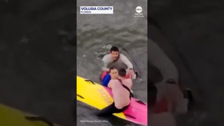 Florida cops ride paddleboards to catch suspect who jumped into river Florida cops ride paddleboards to catch suspect who jumped into river