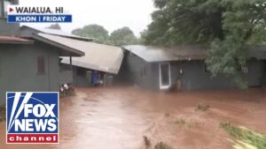 More than 230 people rescued from Hawaii floods More than 230 people rescued from Hawaii floods