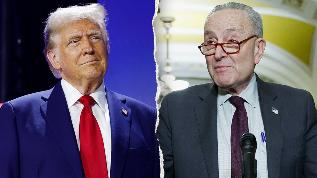 Schumer knocks Trump on Iran, plan to send ICE to airports: ‘Asking for trouble’ Schumer knocks Trump on Iran, plan to send ICE to airports: ‘Asking for trouble’
