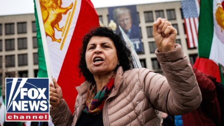 Iran using arrests, executions to ‘SPREAD FEAR,’ warns Iranian student Iran using arrests, executions to ‘SPREAD FEAR,’ warns Iranian student