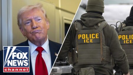 BREAKING: Trump to send ICE agents to airports if Dems don’t sign DHS funding deal BREAKING: Trump to send ICE agents to airports if Dems don’t sign DHS funding deal
