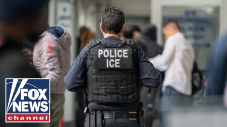 BREAKING: Trump announces ICE agents will be sent to US airports BREAKING: Trump announces ICE agents will be sent to US airports