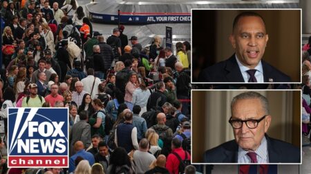 Former acting DHS secretary issues URGENT TSA warning: ‘WE NEED EVERYONE’ Former acting DHS secretary issues URGENT TSA warning: ‘WE NEED EVERYONE’