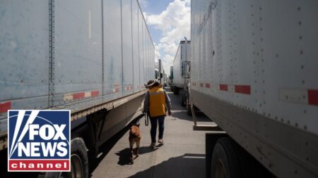 ‘SHOCKING’: Truckers CAUGHT FAILING road safety tests