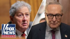 ‘HE’S LYING!’: Kennedy TORCHES Schumer over TSA pay