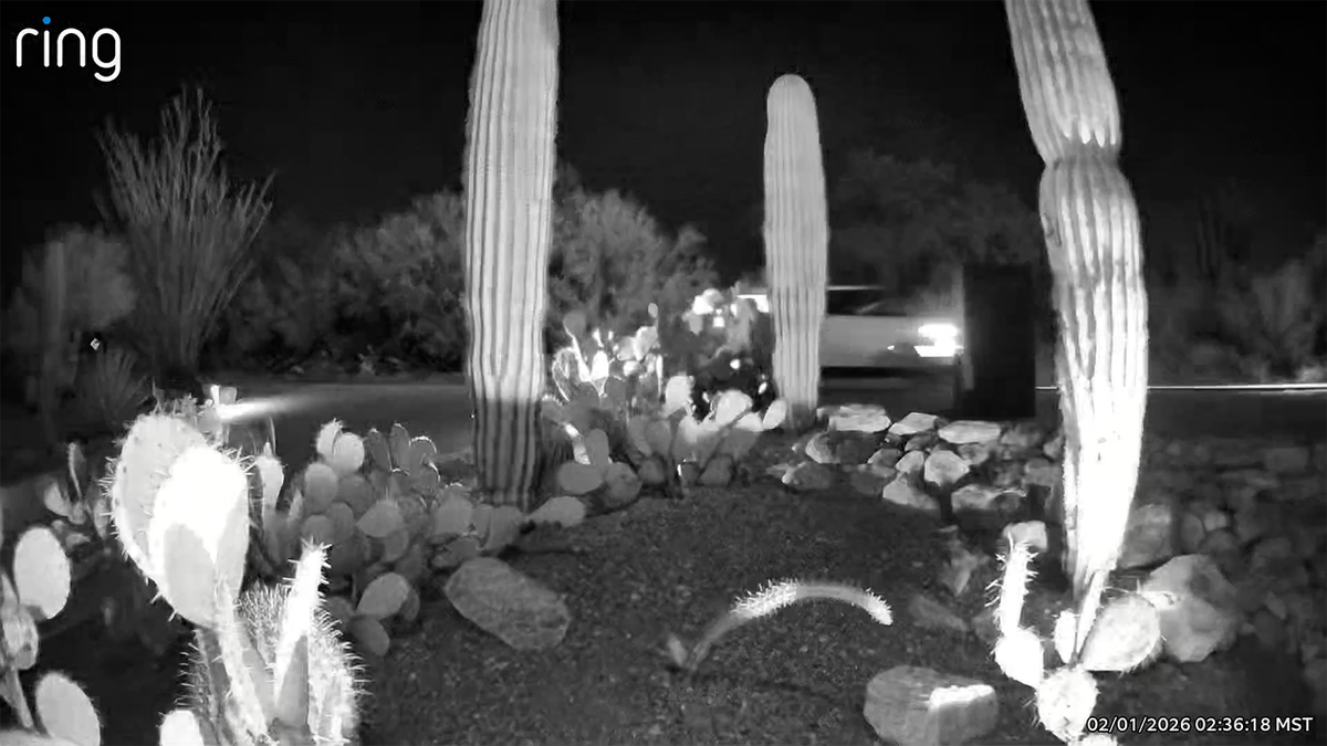 A black and white still image from Ring camera video