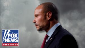 Bongino: They seem to be enjoying ‘EVERY BIT’ of this…