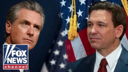 ‘I didn’t know what to do’: DeSantis shares how Newsom ‘got the hook’ during debate