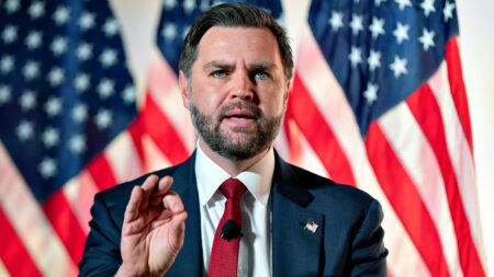 JD Vance’s anti-fraud task force ‘ramps up’ identifying fraud across US after suspending 70 providers in LA JD Vance’s anti-fraud task force ‘ramps up’ identifying fraud across US after suspending 70 providers in LA