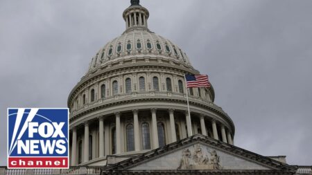 Republican Study Committee hold presser on Democratic DHS shutdown impact
