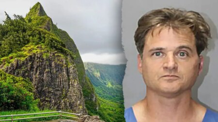 Hawaii doctor’s ex-boss says anesthesiologists have means to kill as wife testifies about syringe attack