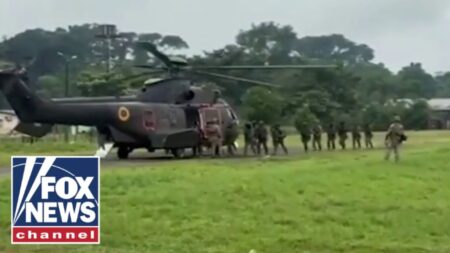 Illegal immigrants are not ‘fleeing’ war, they are ‘CAUSING WAR’: Drug czar Illegal immigrants are not ‘fleeing’ war, they are ‘CAUSING WAR’: Drug czar