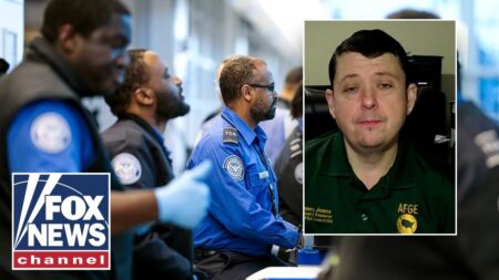 TSA agent SLAMS Congress over DHS shutdown: You have ‘LET DOWN’ Americans TSA agent SLAMS Congress over DHS shutdown: You have ‘LET DOWN’ Americans