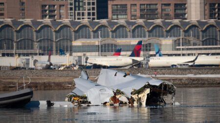 ‘Warning signs were all there’ before deadly DC mid-air crash, former air traffic controller says
