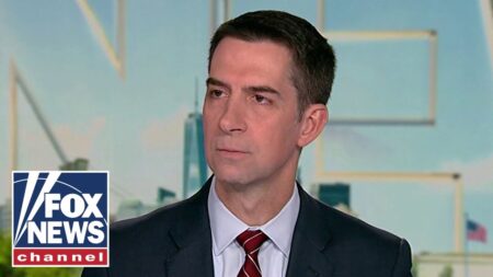 Cotton SLAMS Dem ‘temper tantrum’ for fueling TSA chaos