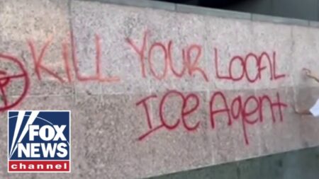 ‘KILL YOUR LOCAL ICE AGENT’: ‘No Kings’ protesters display violent rhetoric