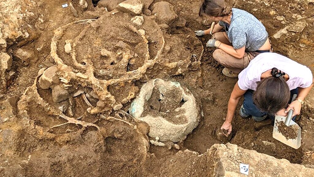 First of its kind wagon evidence uncovered in massive Iron Age treasure trove First of its kind wagon evidence uncovered in massive Iron Age treasure trove