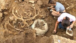 First of its kind wagon evidence uncovered in massive Iron Age treasure trove