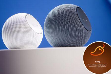 Amazon customers hate Alexa’s new, adults-only ‘Sassy’ voice that curses and roasts you: ‘Unplug’
