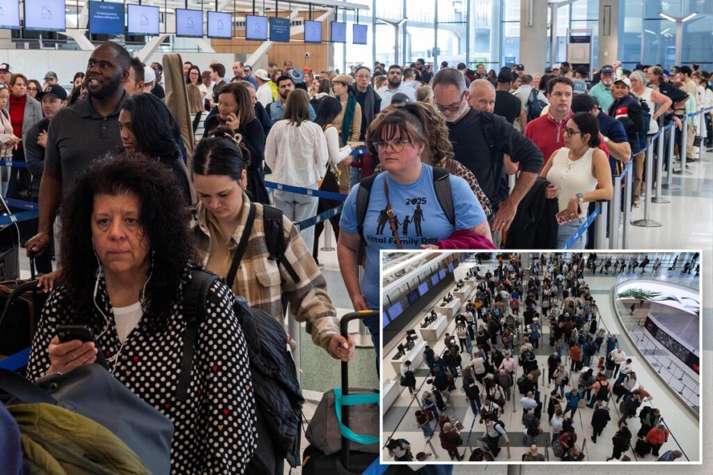 TSA being held ‘hostage’ as airport security problem is ‘going to get worse’ over DHS shutdown: top official