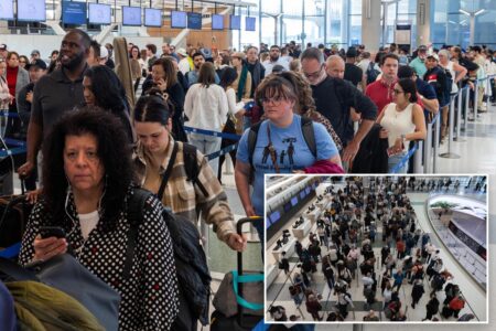 TSA being held ‘hostage’ as airport security problem is ‘going to get worse’ over DHS shutdown: top official TSA being held ‘hostage’ as airport security problem is ‘going to get worse’ over DHS shutdown: top official