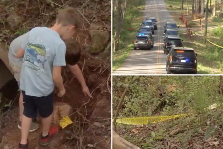 Children find human skull while playing near South Carolina creek, authorities unearth 50 more bones