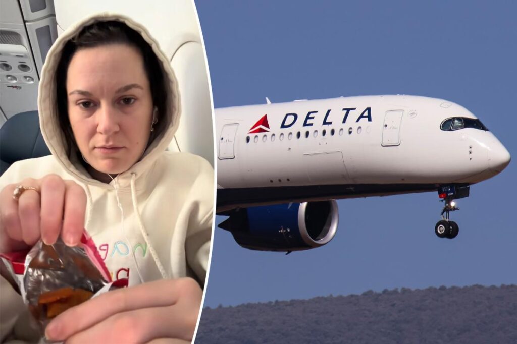 Delta Airlines flyer shocked at what she found inside her in-flight packet of Cheez-Its
