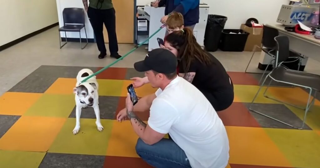 Stolen Pitbull ‘Finally Home’ With Pennsylvania Family After He Vanished Over Decade Ago